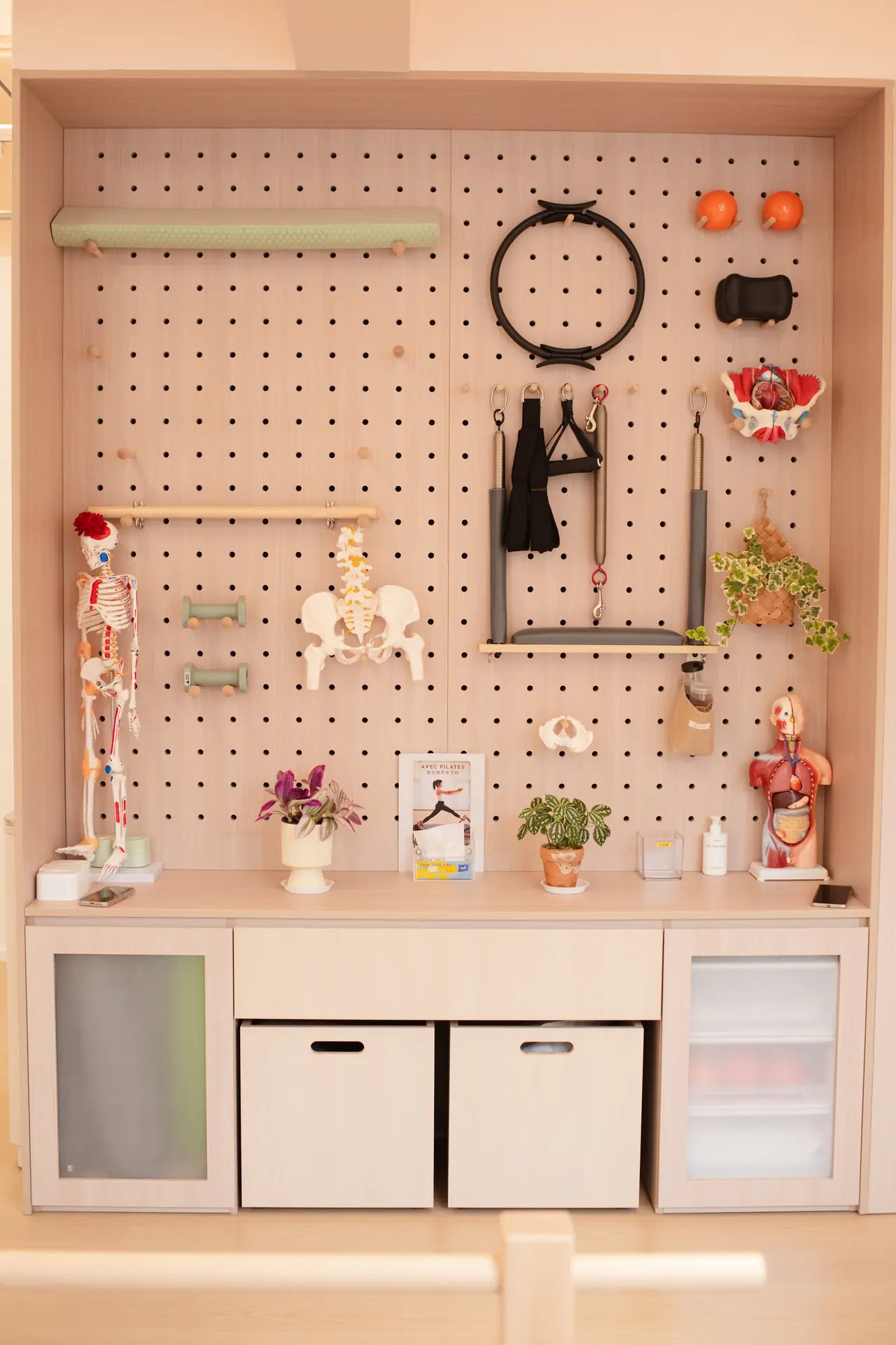 Wooden pegboard arranged with Pilates props, anatomy models, and plants